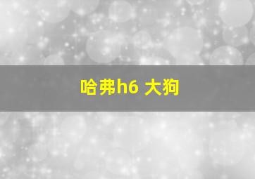 哈弗h6 大狗